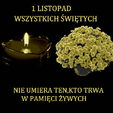 Pomarańczowe chryzantemy i znicz